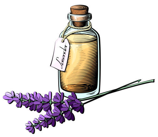 Doğal yakarca kovucu yağlar. Lavanta ve okaliptus görseli.